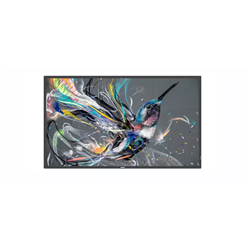 Philips 32 Inch Q Series FHD 18/7 350nit Professional Display